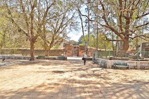 Rabdal Forest in Dahod, india