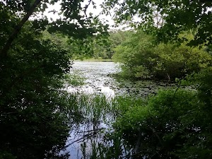 Mass Audubon's Oak Knoll Wildlife Sanctuary in Attleboro, united states