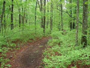 Colman Reservation in Attleboro, united states