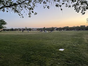 Live Oak Park in Milpitas, united states