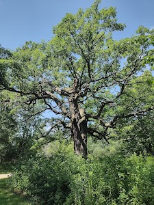 Sawyer Creek Community Nature Preserve in Oshkosh, united states