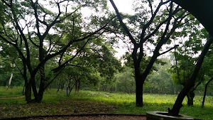 Bird watching point in Nigdi, india