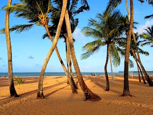 White Cape Beach in João pessoa, brazil