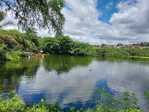 Parque Zoobotânico Arruda Câmara (Bica) in João pessoa, brazil