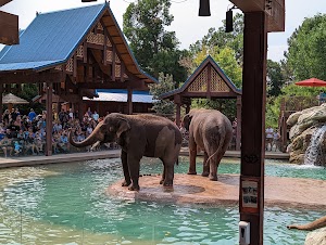 Denver Zoo in Itacaré, brazil
