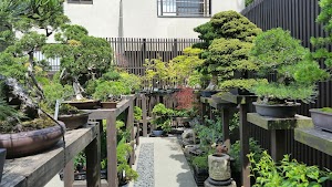 Omiya Bonsai Village in Cgi bin, japan