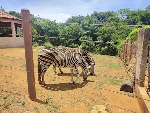 Salvador Zoo and Botanical Park in Salvador, brazil