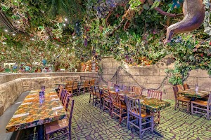 Rainforest Cafe in Gurnee, united states
