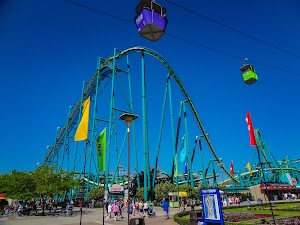 Raptor in Sandusky, united states