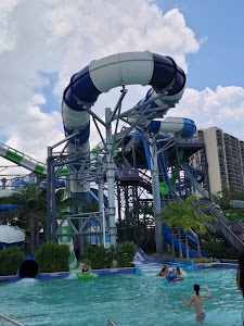 Tidal Cove in Sunny isles beach, united states