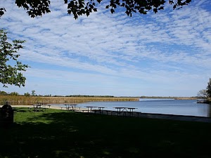 Chain O'Lakes State Park in Fox lake, united states