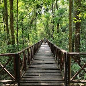 Municipal Natural Park in Puerto rico, argentina