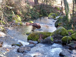 Ashland Parks & Recreation in Ashland, united states