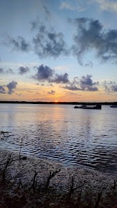 Sunset Alligator in Cabedelo, brazil