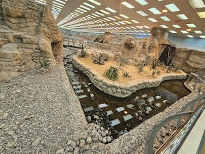 Sharjah Desert Park in Al dhaid, united arab emirates