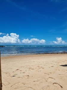 Heron From the beach in Maceió, brazil