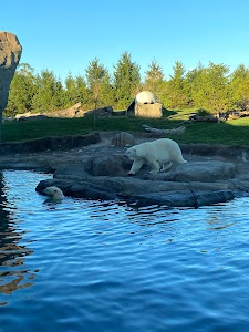 Columbus Zoo and Aquarium in Oh, united states