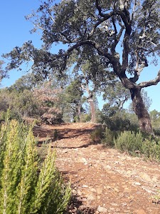 Parc Naturel Communal des Borrels - CRAPA in Hyères, france