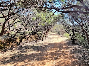 Dragoon Gulch Trail Head in Twain harte, united states