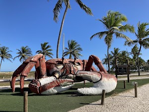 Crab Catwalk in Aracaju, brazil