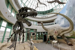 North Carolina Museum of Natural Sciences in Garner, united states