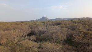 Bosque de Pómac Historic Sanctuary in Chiclayo, peru