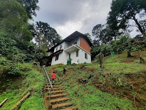 CG Ala - The Coffee Grove in Padinjarathara, india