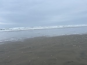 Seaside Beach in Gearhart, united states