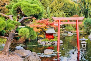 Point Defiance Park in University place, united states