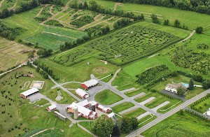 Ellms Family Farm in Clifton park, united states
