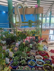 Predio Ferial y Cultura Puerto Rico in Puerto rico, argentina
