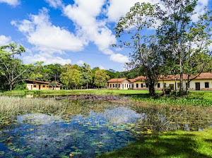 Jardim Botânico Benjamim Maranhão in João pessoa, brazil