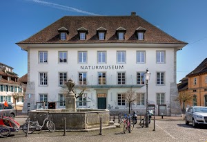 Naturmuseum Solothurn in Deitingen, switzerland
