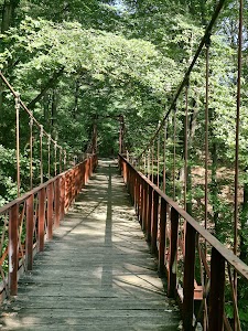 Aleea de cura in Căciulata, romania