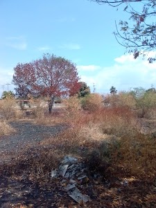 Parque Carabobo in Ciudad ojeda, venezuela