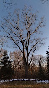 Deborah and Roger Richardson Nature Preserve in Attleboro, united states