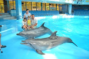 Dolphinarium Nemo in Almaty, kazakhstan
