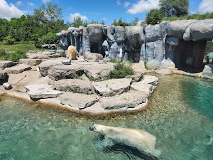 Toronto Zoo in Itacaré, brazil